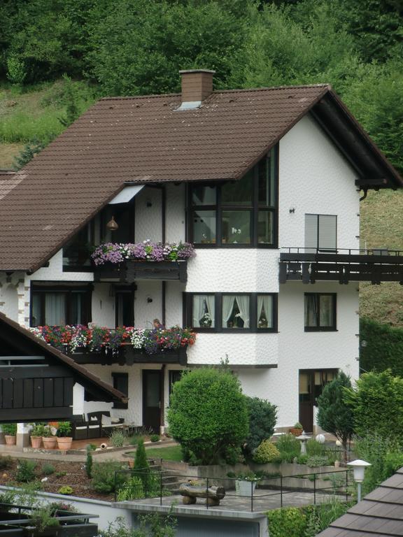 Ferienwohnung Uli Schaetzle Hornberg Buitenkant foto
