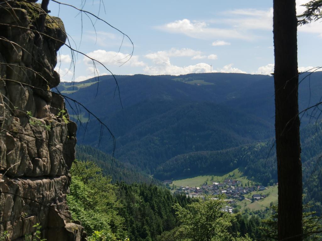 Ferienwohnung Uli Schaetzle Hornberg Buitenkant foto
