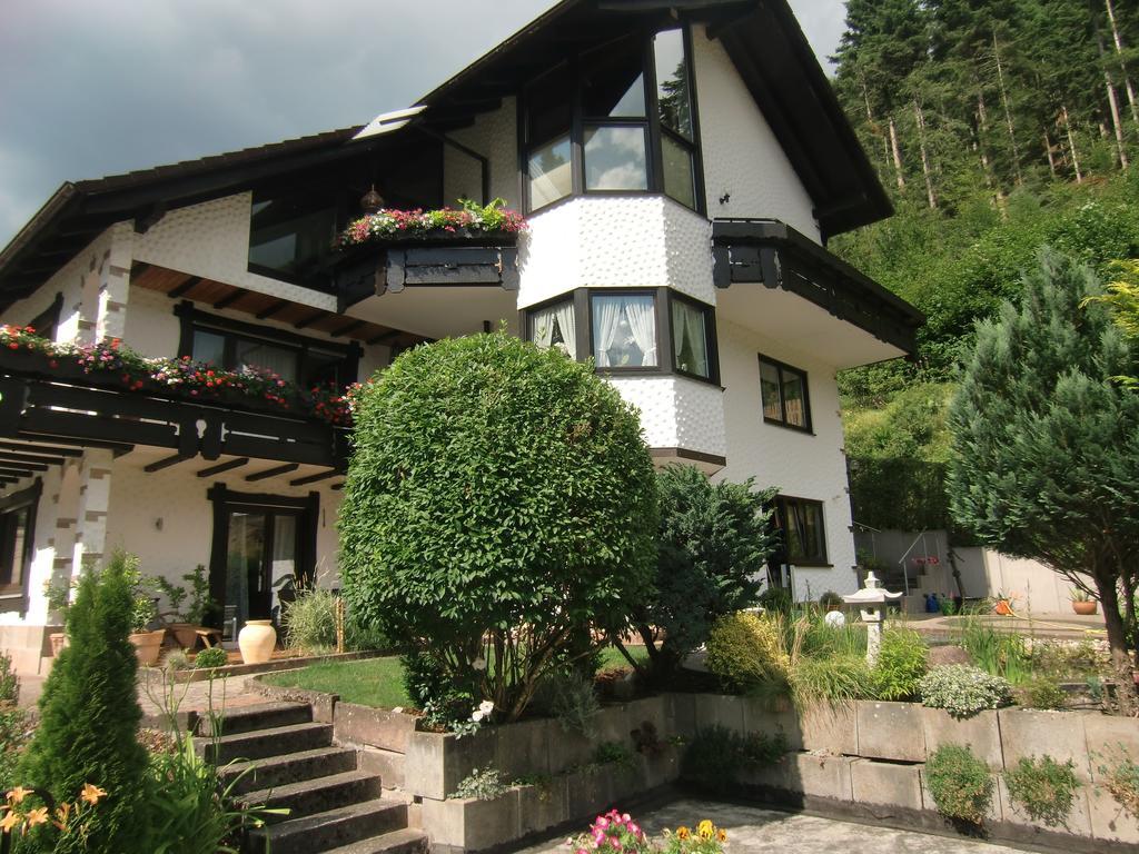 Ferienwohnung Uli Schaetzle Hornberg Buitenkant foto