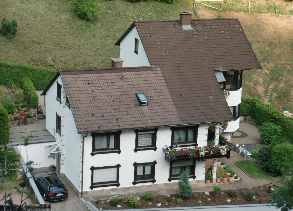 Ferienwohnung Uli Schaetzle Hornberg Buitenkant foto
