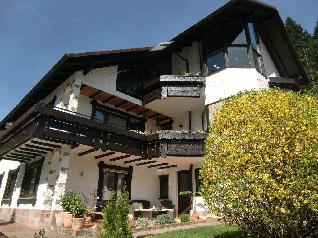 Ferienwohnung Uli Schaetzle Hornberg Buitenkant foto