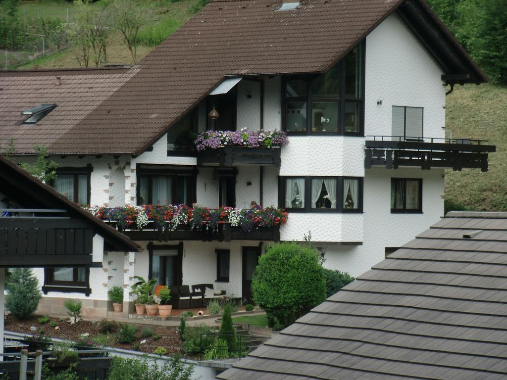 Ferienwohnung Uli Schaetzle Hornberg Buitenkant foto
